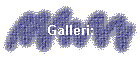 Galleri: